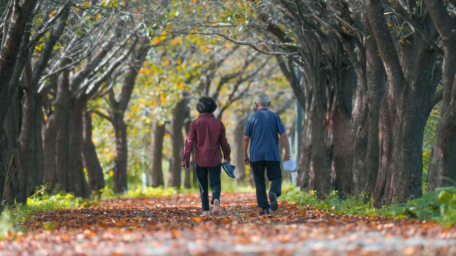 Un uomo e una donna camminano di spalle in un viale alberato coperto di foglie autunnali